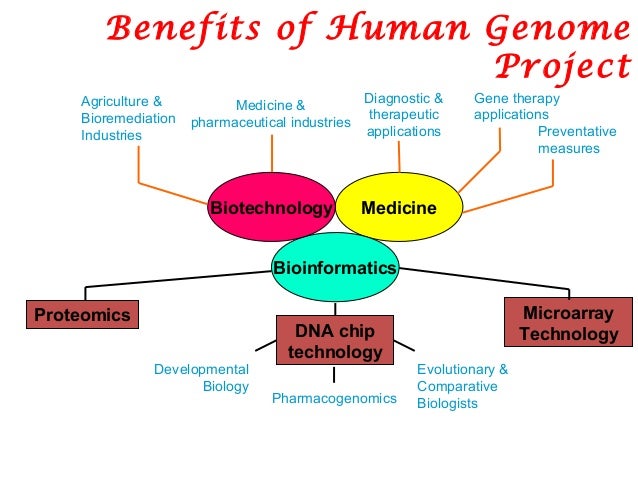 Human Genome Project Chart