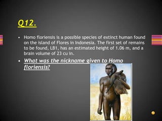 X is transgenic specimen obtained by injecting a bacteria Bacillus thuringiensisinto the original species making it immune to a number of insects. X, however, has  been proved to adversely affect the health of humans residing near the plantations causing allergies and abnormal cell growth. Recently, the Indian govt. postponed the release of X in the market for consumptionQ10. **ID X