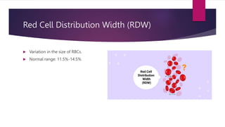 Complete Blood Count (CBC) or Full Blood Count (FBC) | PPTX