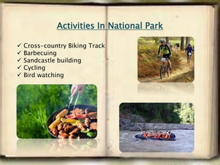 Activities In National Park
 Cross-country Biking Track
 Barbecuing
 Sandcastle building
 Cycling
 Bird watching
 