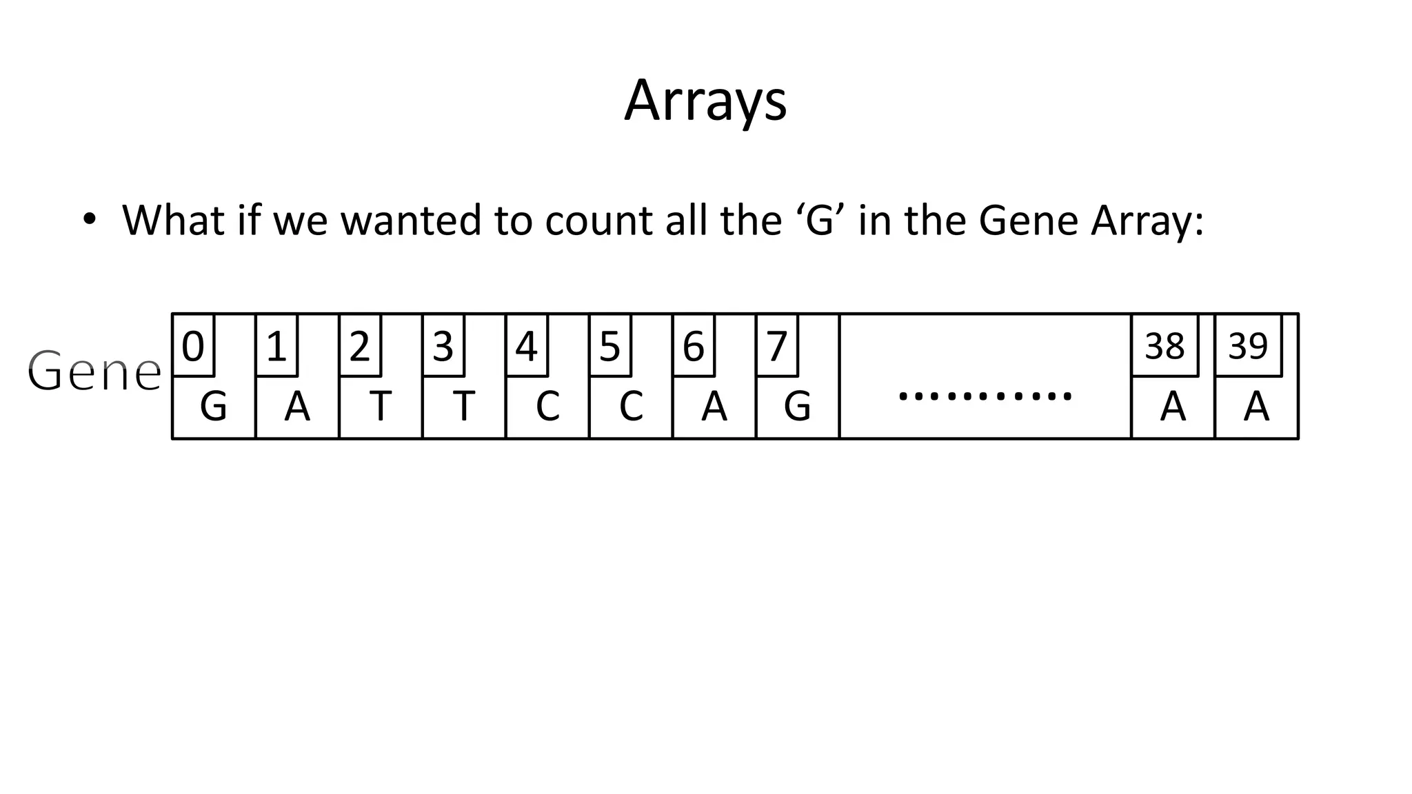 • What if we wanted to count all the ‘G’ in the Gene Array:
Arrays
G A T T C C A AG ……..… A
0 1 2 3 4 5 6 7 38 39
 