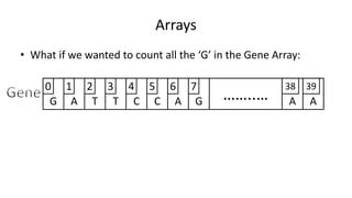 • What if we wanted to count all the ‘G’ in the Gene Array:
Arrays
G A T T C C A AG ……..… A
0 1 2 3 4 5 6 7 38 39
 