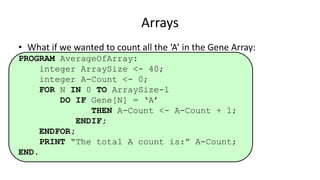 • What if we wanted to count all the ‘A’ in the Gene Array:
PROGRAM AverageOfArray:
integer ArraySize <- 40;
integer A-Count <- 0;
FOR N IN 0 TO ArraySize-1
DO IF Gene[N] = ‘A’
THEN A-Count <- A-Count + 1;
ENDIF;
ENDFOR;
PRINT “The total A count is:” A-Count;
END.
Arrays
 