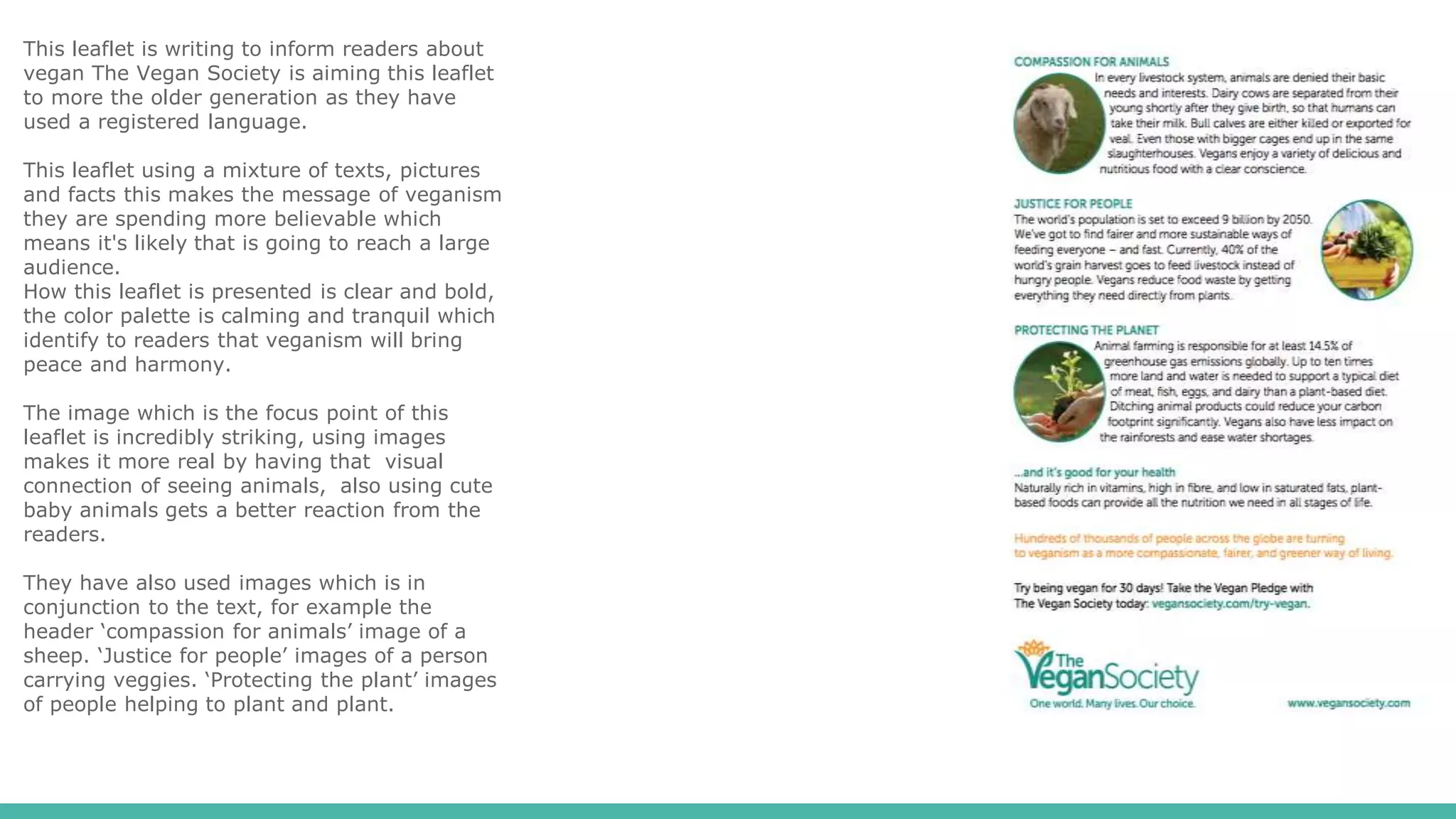 This leaflet is writing to inform readers about
vegan The Vegan Society is aiming this leaflet
to more the older generation as they have
used a registered language.
This leaflet using a mixture of texts, pictures
and facts this makes the message of veganism
they are spending more believable which
means it's likely that is going to reach a large
audience.
How this leaflet is presented is clear and bold,
the color palette is calming and tranquil which
identify to readers that veganism will bring
peace and harmony.
The image which is the focus point of this
leaflet is incredibly striking, using images
makes it more real by having that visual
connection of seeing animals, also using cute
baby animals gets a better reaction from the
readers.
They have also used images which is in
conjunction to the text, for example the
header ‘compassion for animals’ image of a
sheep. ‘Justice for people’ images of a person
carrying veggies. ‘Protecting the plant’ images
of people helping to plant and plant.
 