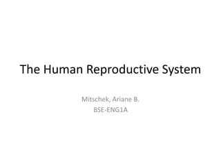 The Human Reproductive System
Mitschek, Ariane B.
BSE-ENG1A
 