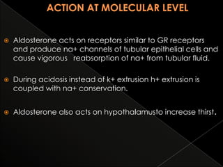 

Aldosterone acts on receptors similar to GR receptors
and produce na+ channels of tubular epithelial cells and
cause vigorous reabsorption of na+ from tubular fluid.



During acidosis instead of k+ extrusion h+ extrusion is
coupled with na+ conservation.



Aldosterone also acts on hypothalamusto increase thirst.

 