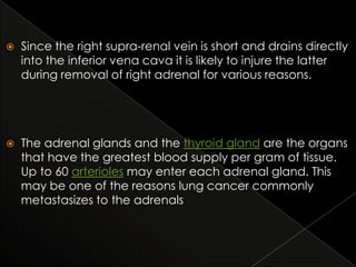 

Since the right supra-renal vein is short and drains directly
into the inferior vena cava it is likely to injure the latter
during removal of right adrenal for various reasons.



The adrenal glands and the thyroid gland are the organs
that have the greatest blood supply per gram of tissue.
Up to 60 arterioles may enter each adrenal gland. This
may be one of the reasons lung cancer commonly
metastasizes to the adrenals

 