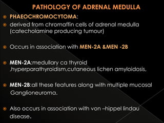 

PHAEOCHROMOCYTOMA:
derived from chromaffin cells of adrenal medulla
(catecholamine producing tumour)



Occurs in association with MEN-2A &MEN -2B



MEN-2A:medullary ca thyroid
,hyperparathyroidism,cutaneous lichen amyloidosis,



MEN-2B:all these features along with multiple mucosal
Ganglioneuroma.



Also occurs in association with von –hippel lindau
disease.



 