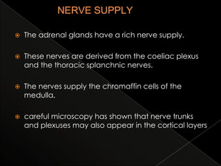

The adrenal glands have a rich nerve supply.



These nerves are derived from the coeliac plexus
and the thoracic splanchnic nerves.



The nerves supply the chromaffin cells of the
medulla,



careful microscopy has shown that nerve trunks
and plexuses may also appear in the cortical layers

 