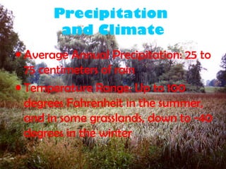 Precipitation
and Climate
• Average Annual Precipitation: 25 to
75 centimeters of rain
• Temperature Range: Up to 100
degrees Fahrenheit in the summer,
and in some grasslands, down to -40
degrees in the winter
 