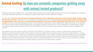 Animal testing-So how are cosmetic companies getting away
with animal tested products?
European Union made it illegal so that any finished cosmetic product can not be tested on animals and no cosmetic ingredients can be tested
on animals and lastly that there is no marketing or selling animal tested cosmetic anywhere in Europe.
20 years later “The use of animals to test cosmetics products or their ingredients is banned in the UK and all other member states
of the European Union.” Because of this, since March 2013 Cosmetics Directive stated that any cosmetic product which has been tested
on animals before 2013 can carry on manufacturing products but any new products/ingredient after 2013 must not be tested on
animals. And any new product/ingredient launches must be testing on artificial skin cells for safety tests. Britain and the EU are using these
skin cells for testing instead of animals and they are encouraging countries outside the EU to look at alternative for animal testing. However
unforuntalty others countries such as China and the United States of America are still using animals for testing cosmetics ingredients and
products.
Any products which were made in Europe, would have to be retested on animals in China if a western cosmetic brand would want their
products to reach the Chinese market, this is because Chinese laws stated that any cosmetic product which has not been tested on animals
would re-tested on animals in China even if the product was already safe for use. Cosmetic companies and animal welfare groups campaigned
that this is a waste of time, money and animals life, Scientists from Britain started training Chinese scientists to use alternatives for animal
testing such as the skill cell procedure. This programme has currently being going on for more than a year now and is concluding to Chinese
authorities banning all animal testing for toiletries, lipsticks, moisturisers and other beauty products.
https://www.theguardian.com/world/2015/nov/07/china-cosmetics-uk-training-stop-animal-testing https://www.rspca.org.uk/adviceandwelfare/laboratory/testingchemicals/cosmetics
 