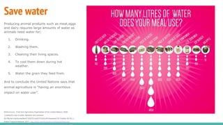 Save water
Producing animal products such as meat,eggs
and dairy requires large amounts of water as
animals need water for;
1. Drinking.
2. Washing them.
3. Cleaning their living spaces.
4. To cool them down during hot
weather.
5. Water the grain they feed from.
And to conclude the United Nations says that
animal agriculture is “having an enormous
impact on water use”.
References[i Food and Agriculture Organisation of the United Nations, 2006.
‘Livestock’s role in water depletion and pollution’
ftp://ftp.fao.org/docrep/fao/010/a0701e/a0701e04.pdf [Assessed 20 October 2014].[ii]
Water Footprint Network, 2011. http://www.waterfootprint.org/Reports/Report49-
 