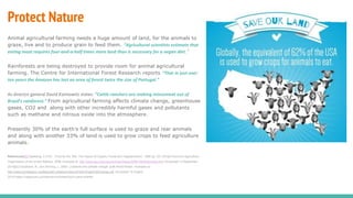 Protect Nature
Animal agricultural farming needs a huge amount of land, for the animals to
graze, live and to produce grain to feed them. “Agricultural scientists estimate that
eating meat requires four-and-a-half times more land than is necessary for a vegan diet.”
Rainforests are being destroyed to provide room for animal agricultural
farming. The Centre for International Forest Research reports “That in just over
ten years the Amazon has lost an area of forest twice the size of Portugal.”
As director general David Kaimowitz states: “Cattle ranchers are making mincemeat out of
Brazil’s rainforest.” From agricultural farming affects climate change, greenhouse
gases, CO2 and along with other incredibly harmful gases and pollutants
such as methane and nitrous oxide into the atmosphere.
Presently 30% of the earth’s full surface is used to graze and rear animals
and along with another 33% of land is used to grow crops to feed agriculture
animals.
References[i][i] Spedding, C.R.W., ‘Food for the ‘90s: The Impact of Organic Foods and Vegetarianism’, 1990 pp. 231-241[ii] Food and Agriculture
Organisation of the United Nations, 2006. Available at: http://www.fao.org/newsroom/en/News/2006/1000448/index.html [Accessed 14 September
2014][iii] Goodhand, R., and Anhang, J., 2009. Livestock and climate change. [pdf] World Watch. Available at:
http://www.worldwatch.org/files/pdf/Livestock%20and%20Climate%20Change.pdf (Accessed 16 August
2014).https://veganuary.com/why/environment/youll-save-wildlife/
 