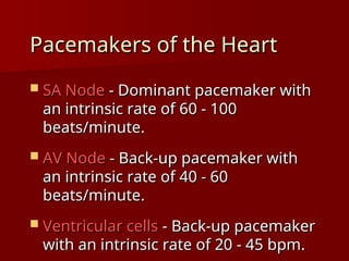 Heart Rate Mschart Pacemaker complete ECG interpretation presentation.ppt