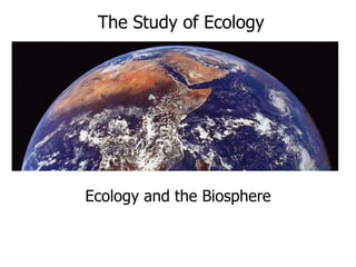 The Study of Ecology




Ecology and the Biosphere
 