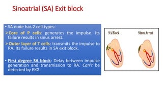 Complete EKG Interpretation Course | PPTX