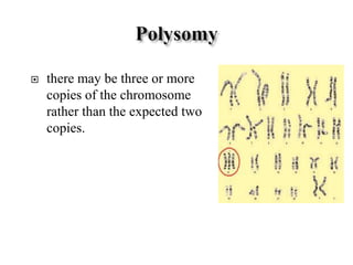  there may be three or more
copies of the chromosome
rather than the expected two
copies.
 