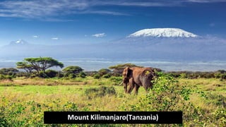 Mount Kilimanjaro(Tanzania)
 