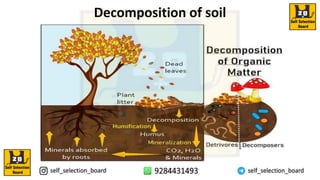Decomposition of soil
 