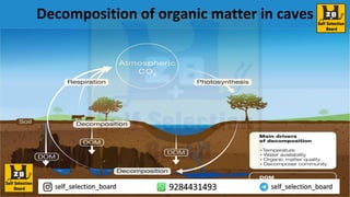 Decomposition of organic matter in caves
 