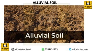 ALLUVIAL SOIL
 
