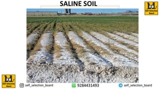 SALINE SOIL
 