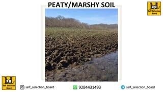PEATY/MARSHY SOIL
 