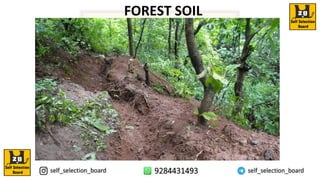 FOREST SOIL
 