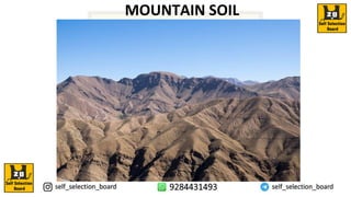 MOUNTAIN SOIL
 