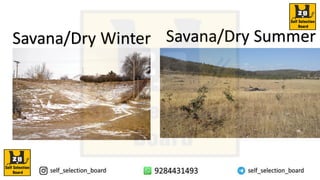 Savana/Dry Winter Savana/Dry Summer
 