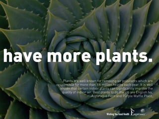 have more plants. 
Plants are well known for removing air pollutants which are 
responsible for more than 1,6 million heat...