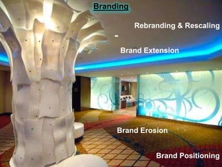 Branding
Rebranding & Rescaling
Brand Extension

Brand Erosion
Brand Positioning

 
