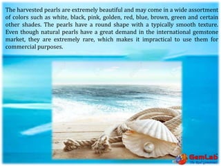 The harvested pearls are extremely beautiful and may come in a wide assortment
of colors such as white, black, pink, golden, red, blue, brown, green and certain
other shades. The pearls have a round shape with a typically smooth texture.
Even though natural pearls have a great demand in the international gemstone
market, they are extremely rare, which makes it impractical to use them for
commercial purposes.
 