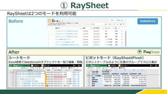 RaySheet Product Description Documentation - 2024.6.19