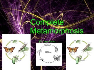 Complete   Metamorphosis BY: Jake Rohm 