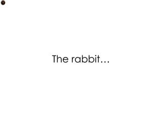 The rabbit…
 
