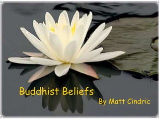 Buddhist Beliefs					By Matt Cindric