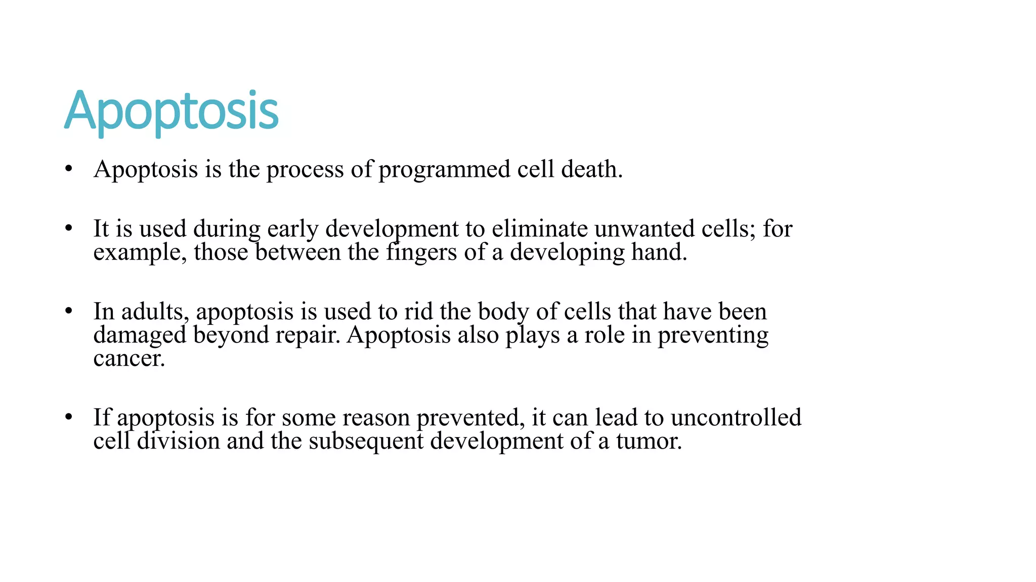 Apoptosis
• Apoptosis is the process of programmed cell death.
• It is used during early development to eliminate unwanted cells; for
example, those between the fingers of a developing hand.
• In adults, apoptosis is used to rid the body of cells that have been
damaged beyond repair. Apoptosis also plays a role in preventing
cancer.
• If apoptosis is for some reason prevented, it can lead to uncontrolled
cell division and the subsequent development of a tumor.
 
