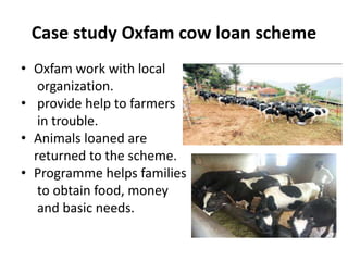Case study Oxfam cow loan scheme
• Oxfam work with local
organization.
• provide help to farmers
in trouble.
• Animals loaned are
returned to the scheme.
• Programme helps families
to obtain food, money
and basic needs.
 
