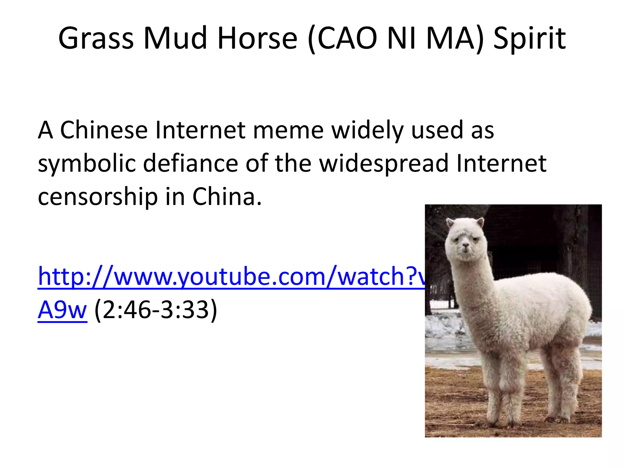 Grass Mud Horse (CAO NI MA) SpiritAChinese Internet meme widely used as symbolic defiance of the widespread Internet censorship in China.http://www.youtube.com/watch?v=dWfUOG0EA9w (2:46-3:33)