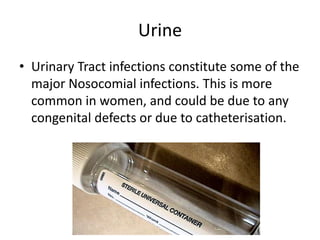 Urine
• Urinary Tract infections constitute some of the
major Nosocomial infections. This is more
common in women, and could be due to any
congenital defects or due to catheterisation.
 