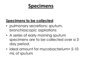Specimens
Specimens to be collected:
• pulmonary secretions: sputum,
bronchioscopic aspirations
• A series of early morning sputum
specimens are to be collected over a 3
day period.
• ideal amount for mycobacterium= 5-10
mL of sputum
 