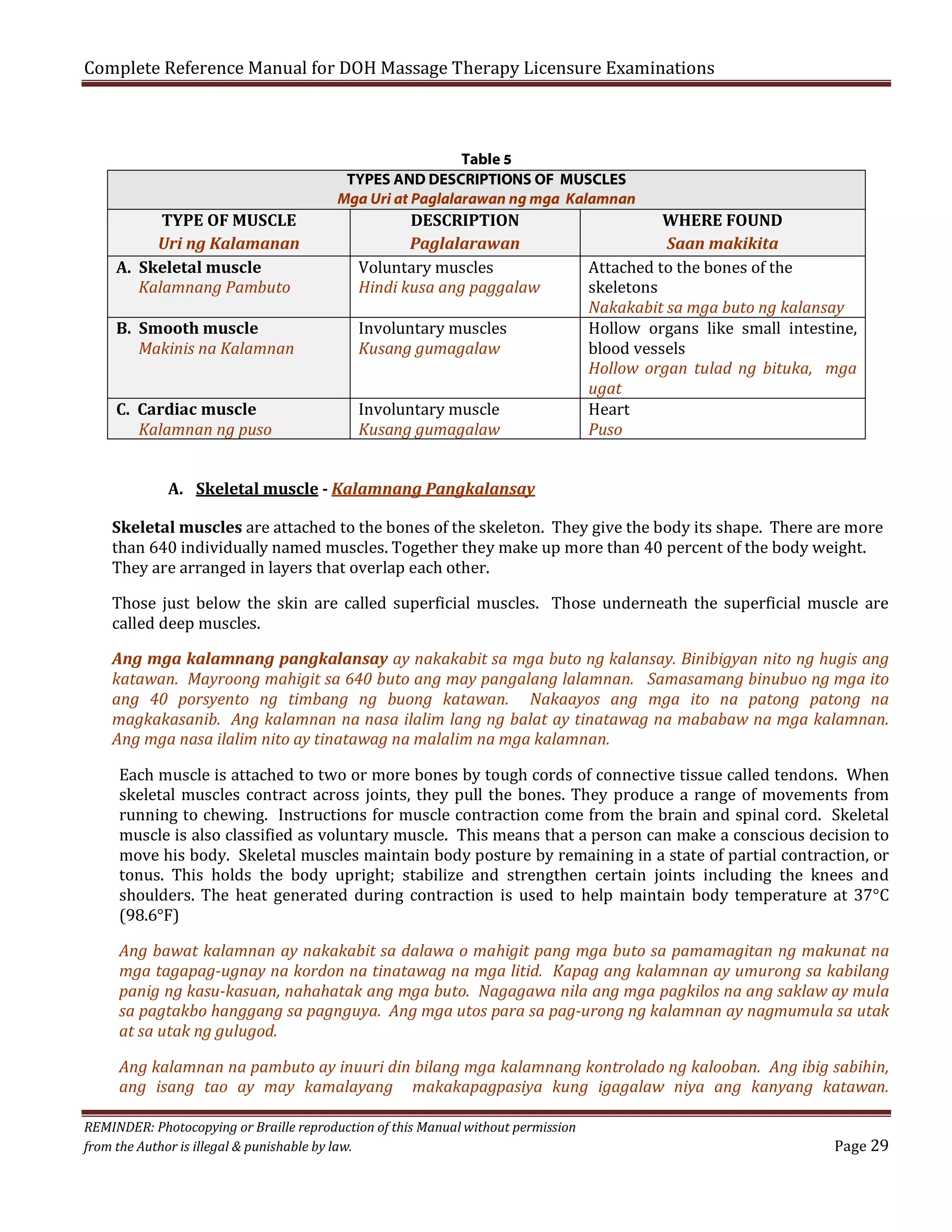 Complete Reference Manual for DOH Massage Therapy Licensure Examinations

TYPE OF MUSCLE
Uri ng Kalamanan
A. Skeletal muscle
Kalamnang Pambuto
B. Smooth muscle
Makinis na Kalamnan
C. Cardiac muscle
Kalamnan ng puso

Table 5
TYPES AND DESCRIPTIONS OF MUSCLES
Mga Uri at Paglalarawan ng mga Kalamnan

DESCRIPTION
Paglalarawan
Voluntary muscles
Hindi kusa ang paggalaw
Involuntary muscles
Kusang gumagalaw
Involuntary muscle
Kusang gumagalaw

WHERE FOUND
Saan makikita
Attached to the bones of the
skeletons
Nakakabit sa mga buto ng kalansay
Hollow organs like small intestine,
blood vessels
Hollow organ tulad ng bituka, mga
ugat
Heart
Puso

A. Skeletal muscle - Kalamnang Pangkalansay

Skeletal muscles are attached to the bones of the skeleton. They give the body its shape. There are more
than 640 individually named muscles. Together they make up more than 40 percent of the body weight.
They are arranged in layers that overlap each other.

Those just below the skin are called superficial muscles. Those underneath the superficial muscle are
called deep muscles.

Ang mga kalamnang pangkalansay ay nakakabit sa mga buto ng kalansay. Binibigyan nito ng hugis ang
katawan. Mayroong mahigit sa 640 buto ang may pangalang lalamnan. Samasamang binubuo ng mga ito
ang 40 porsyento ng timbang ng buong katawan. Nakaayos ang mga ito na patong patong na
magkakasanib. Ang kalamnan na nasa ilalim lang ng balat ay tinatawag na mababaw na mga kalamnan.
Ang mga nasa ilalim nito ay tinatawag na malalim na mga kalamnan.

Each muscle is attached to two or more bones by tough cords of connective tissue called tendons. When
skeletal muscles contract across joints, they pull the bones. They produce a range of movements from
running to chewing. Instructions for muscle contraction come from the brain and spinal cord. Skeletal
muscle is also classified as voluntary muscle. This means that a person can make a conscious decision to
move his body. Skeletal muscles maintain body posture by remaining in a state of partial contraction, or
tonus. This holds the body upright; stabilize and strengthen certain joints including the knees and
shoulders. The heat generated during contraction is used to help maintain body temperature at 37°C
(98.6°F)

Ang bawat kalamnan ay nakakabit sa dalawa o mahigit pang mga buto sa pamamagitan ng makunat na
mga tagapag-ugnay na kordon na tinatawag na mga litid. Kapag ang kalamnan ay umurong sa kabilang
panig ng kasu-kasuan, nahahatak ang mga buto. Nagagawa nila ang mga pagkilos na ang saklaw ay mula
sa pagtakbo hanggang sa pagnguya. Ang mga utos para sa pag-urong ng kalamnan ay nagmumula sa utak
at sa utak ng gulugod.
Ang kalamnan na pambuto ay inuuri din bilang mga kalamnang kontrolado ng kalooban. Ang ibig sabihin,
ang isang tao ay may kamalayang makakapagpasiya kung igagalaw niya ang kanyang katawan.
REMINDER: Photocopying or Braille reproduction of this Manual without permission
from the Author is illegal & punishable by law.

Page 29

 