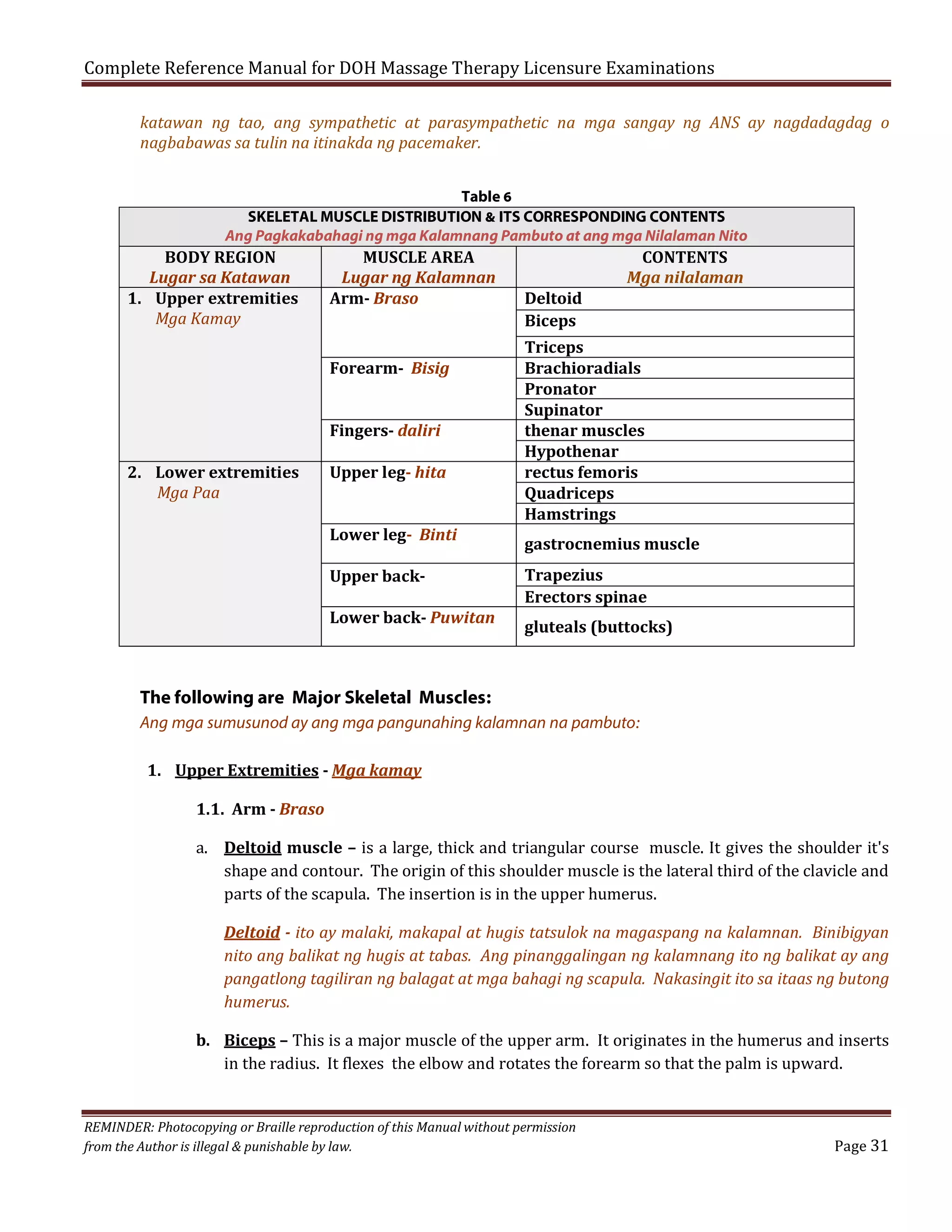 Complete Reference Manual for DOH Massage Therapy Licensure Examinations

katawan ng tao, ang sympathetic at parasympathetic na mga sangay ng ANS ay nagdadagdag o
nagbabawas sa tulin na itinakda ng pacemaker.
Table 6
SKELETAL MUSCLE DISTRIBUTION & ITS CORRESPONDING CONTENTS
Ang Pagkakabahagi ng mga Kalamnang Pambuto at ang mga Nilalaman Nito

BODY REGION
Lugar sa Katawan
1. Upper extremities
Mga Kamay

MUSCLE AREA
Lugar ng Kalamnan
Arm- Braso

Forearm- Bisig
Fingers- daliri
2. Lower extremities
Mga Paa

Upper leg- hita
Lower leg- Binti
Upper backLower back- Puwitan

Deltoid
Biceps

CONTENTS
Mga nilalaman

Triceps
Brachioradials
Pronator
Supinator
thenar muscles
Hypothenar
rectus femoris
Quadriceps
Hamstrings
gastrocnemius muscle
Trapezius
Erectors spinae
gluteals (buttocks)

The following are Major Skeletal Muscles:
Ang mga sumusunod ay ang mga pangunahing kalamnan na pambuto:
1. Upper Extremities - Mga kamay
1.1. Arm - Braso

a. Deltoid muscle – is a large, thick and triangular course muscle. It gives the shoulder it's
shape and contour. The origin of this shoulder muscle is the lateral third of the clavicle and
parts of the scapula. The insertion is in the upper humerus.

Deltoid - ito ay malaki, makapal at hugis tatsulok na magaspang na kalamnan. Binibigyan
nito ang balikat ng hugis at tabas. Ang pinanggalingan ng kalamnang ito ng balikat ay ang
pangatlong tagiliran ng balagat at mga bahagi ng scapula. Nakasingit ito sa itaas ng butong
humerus.

b. Biceps – This is a major muscle of the upper arm. It originates in the humerus and inserts
in the radius. It flexes the elbow and rotates the forearm so that the palm is upward.
REMINDER: Photocopying or Braille reproduction of this Manual without permission
from the Author is illegal & punishable by law.

Page 31

 
