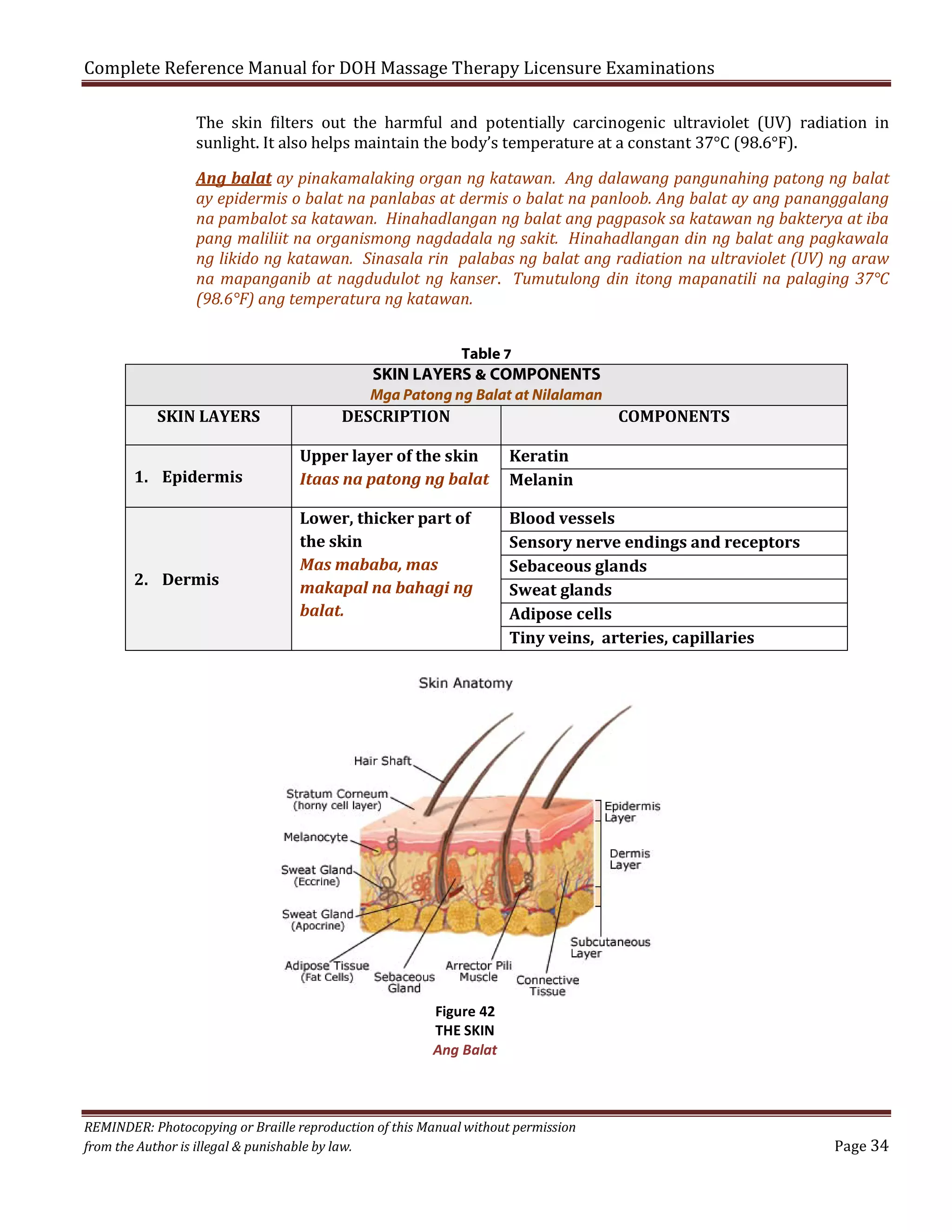 Complete Reference Manual for DOH Massage Therapy Licensure Examinations

The skin filters out the harmful and potentially carcinogenic ultraviolet (UV) radiation in
sunlight. It also helps maintain the body’s temperature at a constant 37°C (98.6°F).

Ang balat ay pinakamalaking organ ng katawan. Ang dalawang pangunahing patong ng balat
ay epidermis o balat na panlabas at dermis o balat na panloob. Ang balat ay ang pananggalang
na pambalot sa katawan. Hinahadlangan ng balat ang pagpasok sa katawan ng bakterya at iba
pang maliliit na organismong nagdadala ng sakit. Hinahadlangan din ng balat ang pagkawala
ng likido ng katawan. Sinasala rin palabas ng balat ang radiation na ultraviolet (UV) ng araw
na mapanganib at nagdudulot ng kanser. Tumutulong din itong mapanatili na palaging 37°C
(98.6°F) ang temperatura ng katawan.
Table 7

SKIN LAYERS & COMPONENTS
SKIN LAYERS
1. Epidermis

2. Dermis

Mga Patong ng Balat at Nilalaman

DESCRIPTION

COMPONENTS

Upper layer of the skin
Itaas na patong ng balat

Keratin
Melanin

Lower, thicker part of
the skin
Mas mababa, mas
makapal na bahagi ng
balat.

Blood vessels
Sensory nerve endings and receptors
Sebaceous glands
Sweat glands
Adipose cells
Tiny veins, arteries, capillaries

Figure 42
THE SKIN
Ang Balat

REMINDER: Photocopying or Braille reproduction of this Manual without permission
from the Author is illegal & punishable by law.

Page 34

 
