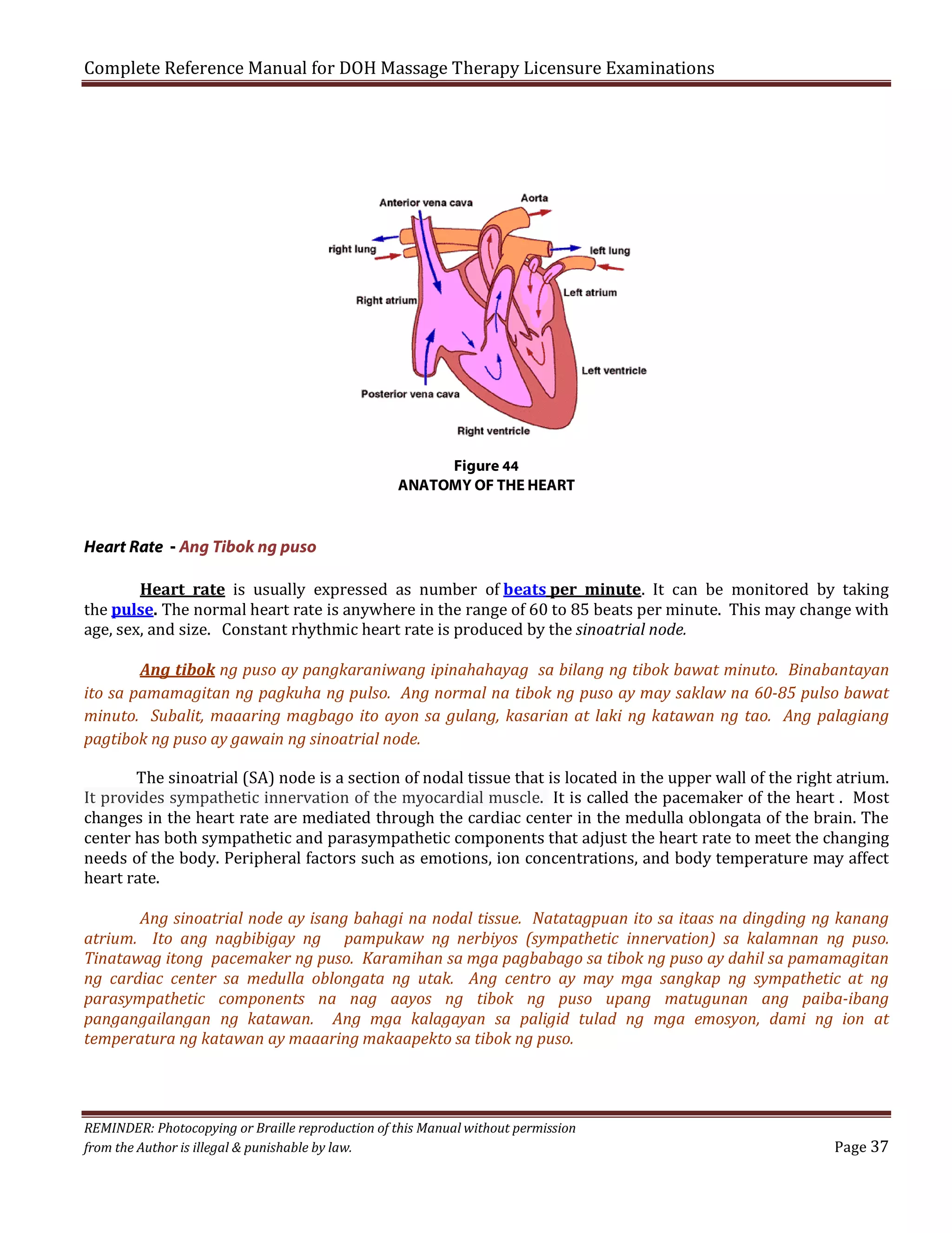 Complete Reference Manual for DOH Massage Therapy Licensure Examinations

Figure 44
ANATOMY OF THE HEART

Heart Rate - Ang Tibok ng puso

Heart rate is usually expressed as number of beats per minute. It can be monitored by taking
the pulse. The normal heart rate is anywhere in the range of 60 to 85 beats per minute. This may change with
age, sex, and size. Constant rhythmic heart rate is produced by the sinoatrial node.

Ang tibok ng puso ay pangkaraniwang ipinahahayag sa bilang ng tibok bawat minuto. Binabantayan
ito sa pamamagitan ng pagkuha ng pulso. Ang normal na tibok ng puso ay may saklaw na 60-85 pulso bawat
minuto. Subalit, maaaring magbago ito ayon sa gulang, kasarian at laki ng katawan ng tao. Ang palagiang
pagtibok ng puso ay gawain ng sinoatrial node.
The sinoatrial (SA) node is a section of nodal tissue that is located in the upper wall of the right atrium.
It provides sympathetic innervation of the myocardial muscle. It is called the pacemaker of the heart . Most
changes in the heart rate are mediated through the cardiac center in the medulla oblongata of the brain. The
center has both sympathetic and parasympathetic components that adjust the heart rate to meet the changing
needs of the body. Peripheral factors such as emotions, ion concentrations, and body temperature may affect
heart rate.

Ang sinoatrial node ay isang bahagi na nodal tissue. Natatagpuan ito sa itaas na dingding ng kanang
atrium. Ito ang nagbibigay ng pampukaw ng nerbiyos (sympathetic innervation) sa kalamnan ng puso.
Tinatawag itong pacemaker ng puso. Karamihan sa mga pagbabago sa tibok ng puso ay dahil sa pamamagitan
ng cardiac center sa medulla oblongata ng utak. Ang centro ay may mga sangkap ng sympathetic at ng
parasympathetic components na nag aayos ng tibok ng puso upang matugunan ang paiba-ibang
pangangailangan ng katawan. Ang mga kalagayan sa paligid tulad ng mga emosyon, dami ng ion at
temperatura ng katawan ay maaaring makaapekto sa tibok ng puso.

REMINDER: Photocopying or Braille reproduction of this Manual without permission
from the Author is illegal & punishable by law.

Page 37

 