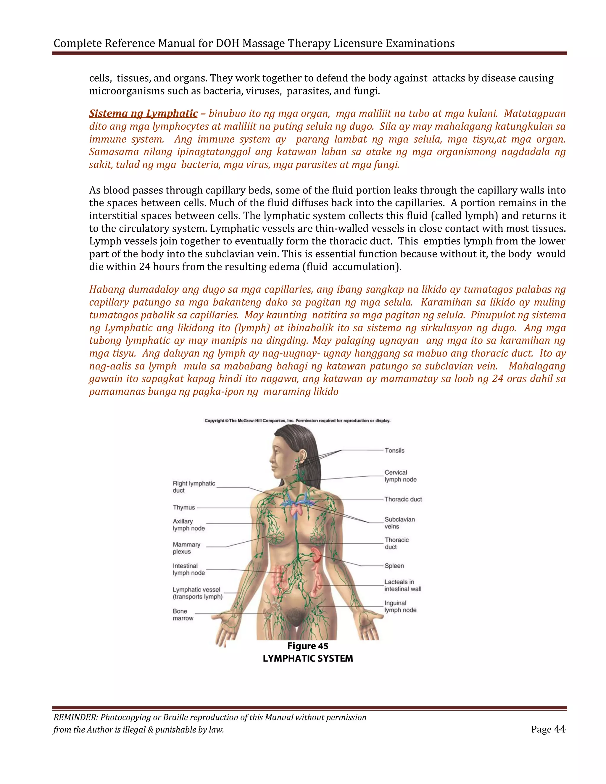 Complete Reference Manual for DOH Massage Therapy Licensure Examinations

cells, tissues, and organs. They work together to defend the body against attacks by disease causing
microorganisms such as bacteria, viruses, parasites, and fungi.

Sistema ng Lymphatic – binubuo ito ng mga organ, mga maliliit na tubo at mga kulani. Matatagpuan
dito ang mga lymphocytes at maliliit na puting selula ng dugo. Sila ay may mahalagang katungkulan sa
immune system. Ang immune system ay parang lambat ng mga selula, mga tisyu,at mga organ.
Samasama nilang ipinagtatanggol ang katawan laban sa atake ng mga organismong nagdadala ng
sakit, tulad ng mga bacteria, mga virus, mga parasites at mga fungi.

As blood passes through capillary beds, some of the fluid portion leaks through the capillary walls into
the spaces between cells. Much of the fluid diffuses back into the capillaries. A portion remains in the
interstitial spaces between cells. The lymphatic system collects this fluid (called lymph) and returns it
to the circulatory system. Lymphatic vessels are thin-walled vessels in close contact with most tissues.
Lymph vessels join together to eventually form the thoracic duct. This empties lymph from the lower
part of the body into the subclavian vein. This is essential function because without it, the body would
die within 24 hours from the resulting edema (fluid accumulation).

Habang dumadaloy ang dugo sa mga capillaries, ang ibang sangkap na likido ay tumatagos palabas ng
capillary patungo sa mga bakanteng dako sa pagitan ng mga selula. Karamihan sa likido ay muling
tumatagos pabalik sa capillaries. May kaunting natitira sa mga pagitan ng selula. Pinupulot ng sistema
ng Lymphatic ang likidong ito (lymph) at ibinabalik ito sa sistema ng sirkulasyon ng dugo. Ang mga
tubong lymphatic ay may manipis na dingding. May palaging ugnayan ang mga ito sa karamihan ng
mga tisyu. Ang daluyan ng lymph ay nag-uugnay- ugnay hanggang sa mabuo ang thoracic duct. Ito ay
nag-aalis sa lymph mula sa mababang bahagi ng katawan patungo sa subclavian vein. Mahalagang
gawain ito sapagkat kapag hindi ito nagawa, ang katawan ay mamamatay sa loob ng 24 oras dahil sa
pamamanas bunga ng pagka-ipon ng maraming likido

Figure 45
LYMPHATIC SYSTEM

REMINDER: Photocopying or Braille reproduction of this Manual without permission
from the Author is illegal & punishable by law.

Page 44

 