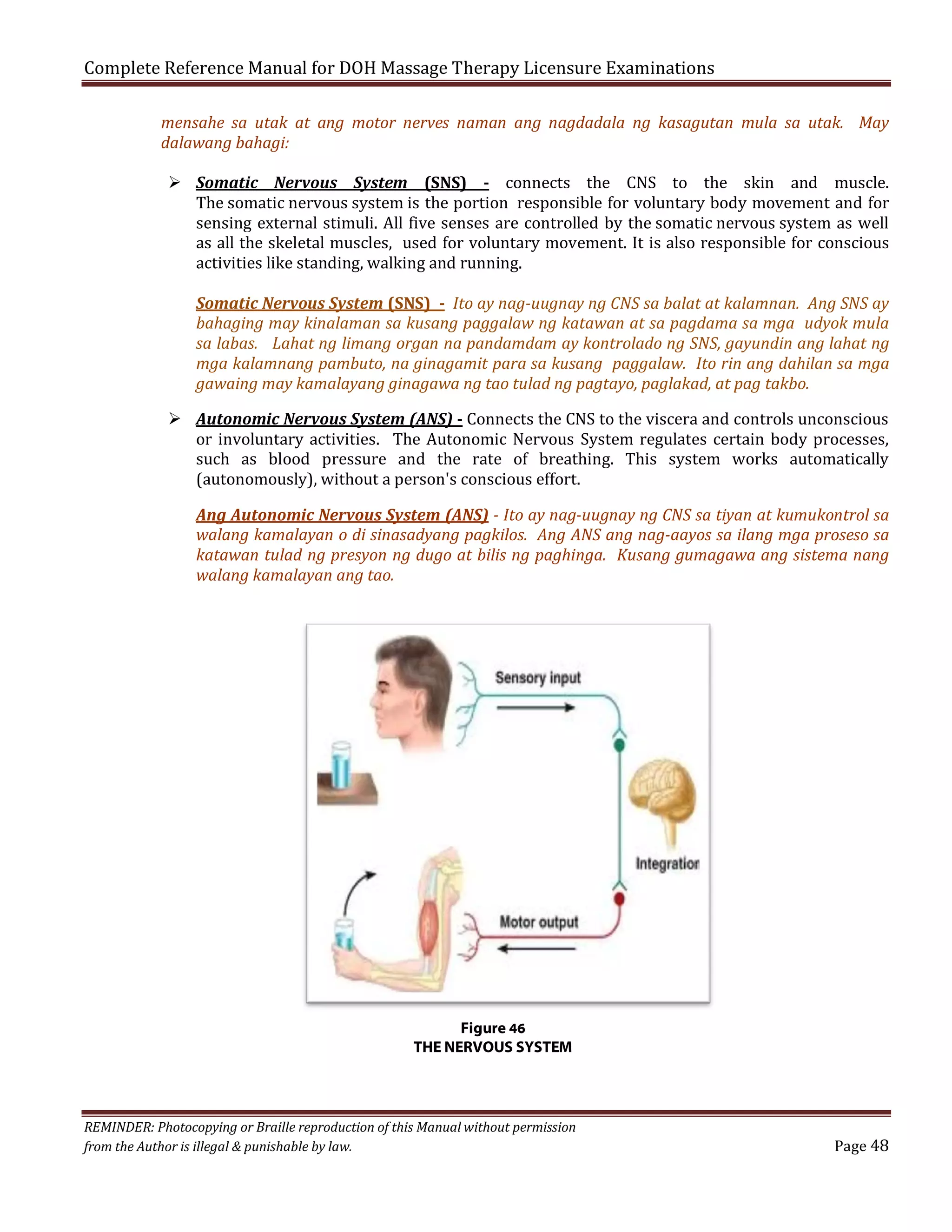 Complete Reference Manual for DOH Massage Therapy Licensure Examinations

mensahe sa utak at ang motor nerves naman ang nagdadala ng kasagutan mula sa utak. May
dalawang bahagi:

 Somatic Nervous System (SNS) - connects the CNS to the skin and muscle.
The somatic nervous system is the portion responsible for voluntary body movement and for
sensing external stimuli. All five senses are controlled by the somatic nervous system as well
as all the skeletal muscles, used for voluntary movement. It is also responsible for conscious
activities like standing, walking and running.

Somatic Nervous System (SNS) - Ito ay nag-uugnay ng CNS sa balat at kalamnan. Ang SNS ay
bahaging may kinalaman sa kusang paggalaw ng katawan at sa pagdama sa mga udyok mula
sa labas. Lahat ng limang organ na pandamdam ay kontrolado ng SNS, gayundin ang lahat ng
mga kalamnang pambuto, na ginagamit para sa kusang paggalaw. Ito rin ang dahilan sa mga
gawaing may kamalayang ginagawa ng tao tulad ng pagtayo, paglakad, at pag takbo.

 Autonomic Nervous System (ANS) - Connects the CNS to the viscera and controls unconscious
or involuntary activities. The Autonomic Nervous System regulates certain body processes,
such as blood pressure and the rate of breathing. This system works automatically
(autonomously), without a person's conscious effort.

Ang Autonomic Nervous System (ANS) - Ito ay nag-uugnay ng CNS sa tiyan at kumukontrol sa
walang kamalayan o di sinasadyang pagkilos. Ang ANS ang nag-aayos sa ilang mga proseso sa
katawan tulad ng presyon ng dugo at bilis ng paghinga. Kusang gumagawa ang sistema nang
walang kamalayan ang tao.

Figure 46
THE NERVOUS SYSTEM

REMINDER: Photocopying or Braille reproduction of this Manual without permission
from the Author is illegal & punishable by law.

Page 48

 