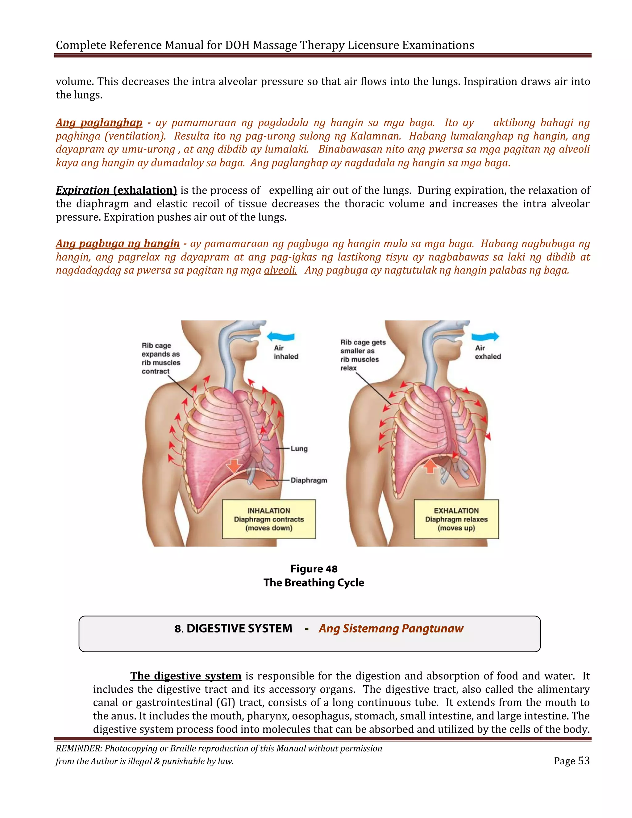 Complete Reference Manual for DOH Massage Therapy Licensure Examinations

volume. This decreases the intra alveolar pressure so that air flows into the lungs. Inspiration draws air into
the lungs.

Ang paglanghap - ay pamamaraan ng pagdadala ng hangin sa mga baga. Ito ay
aktibong bahagi ng
paghinga (ventilation). Resulta ito ng pag-urong sulong ng Kalamnan. Habang lumalanghap ng hangin, ang
dayapram ay umu-urong , at ang dibdib ay lumalaki. Binabawasan nito ang pwersa sa mga pagitan ng alveoli
kaya ang hangin ay dumadaloy sa baga. Ang paglanghap ay nagdadala ng hangin sa mga baga.
Expiration (exhalation) is the process of expelling air out of the lungs. During expiration, the relaxation of
the diaphragm and elastic recoil of tissue decreases the thoracic volume and increases the intra alveolar
pressure. Expiration pushes air out of the lungs.

Ang pagbuga ng hangin - ay pamamaraan ng pagbuga ng hangin mula sa mga baga. Habang nagbubuga ng
hangin, ang pagrelax ng dayapram at ang pag-igkas ng lastikong tisyu ay nagbabawas sa laki ng dibdib at
nagdadagdag sa pwersa sa pagitan ng mga alveoli. Ang pagbuga ay nagtutulak ng hangin palabas ng baga.

Figure 48
The Breathing Cycle

8. DIGESTIVE SYSTEM - Ang Sistemang Pangtunaw
The digestive system is responsible for the digestion and absorption of food and water. It
includes the digestive tract and its accessory organs. The digestive tract, also called the alimentary
canal or gastrointestinal (GI) tract, consists of a long continuous tube. It extends from the mouth to
the anus. It includes the mouth, pharynx, oesophagus, stomach, small intestine, and large intestine. The
digestive system process food into molecules that can be absorbed and utilized by the cells of the body.

REMINDER: Photocopying or Braille reproduction of this Manual without permission
from the Author is illegal & punishable by law.

Page 53

 