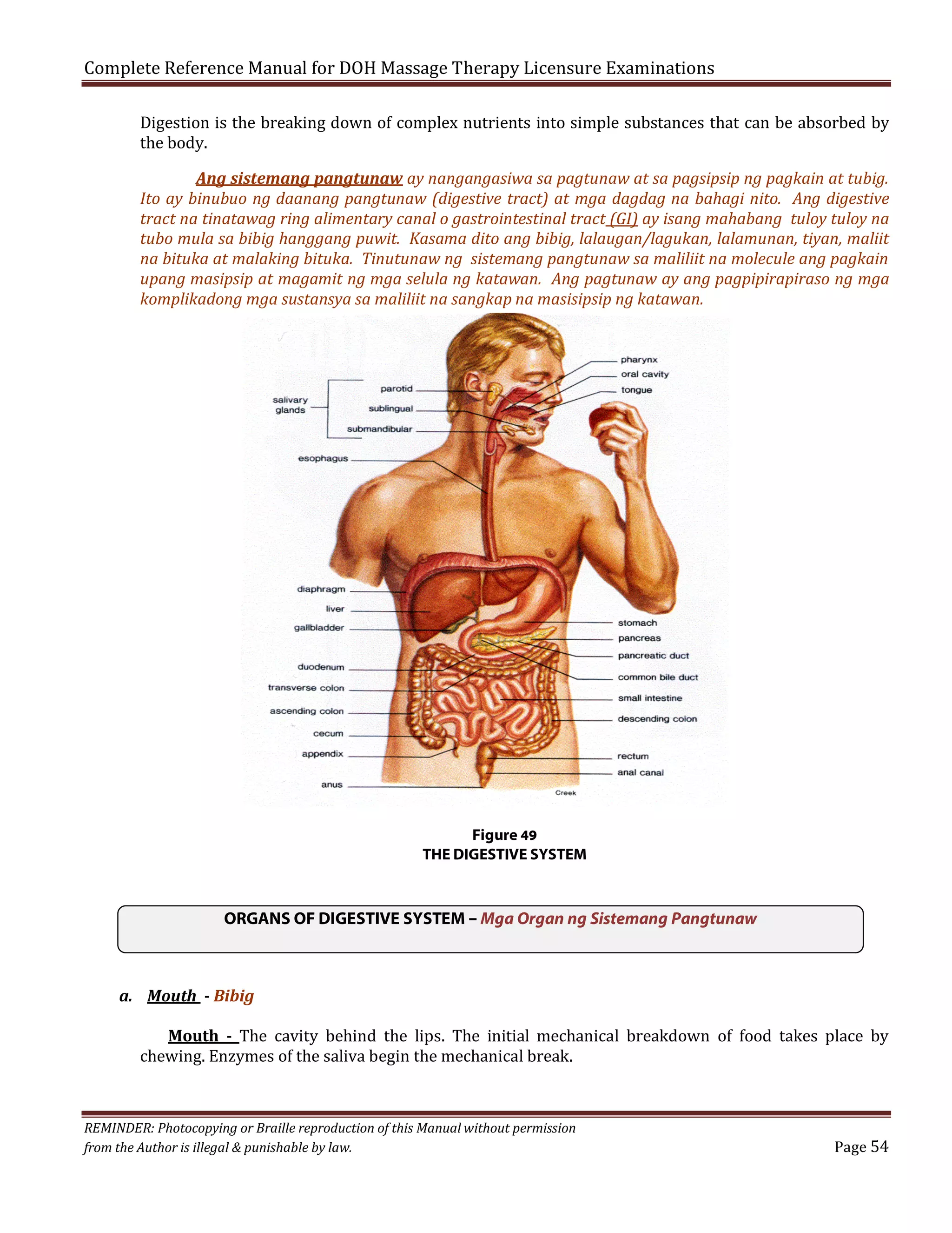 Complete Reference Manual for DOH Massage Therapy Licensure Examinations

Digestion is the breaking down of complex nutrients into simple substances that can be absorbed by
the body.

Ang sistemang pangtunaw ay nangangasiwa sa pagtunaw at sa pagsipsip ng pagkain at tubig.
Ito ay binubuo ng daanang pangtunaw (digestive tract) at mga dagdag na bahagi nito. Ang digestive
tract na tinatawag ring alimentary canal o gastrointestinal tract (GI) ay isang mahabang tuloy tuloy na
tubo mula sa bibig hanggang puwit. Kasama dito ang bibig, lalaugan/lagukan, lalamunan, tiyan, maliit
na bituka at malaking bituka. Tinutunaw ng sistemang pangtunaw sa maliliit na molecule ang pagkain
upang masipsip at magamit ng mga selula ng katawan. Ang pagtunaw ay ang pagpipirapiraso ng mga
komplikadong mga sustansya sa maliliit na sangkap na masisipsip ng katawan.

Figure 49
THE DIGESTIVE SYSTEM

ORGANS OF DIGESTIVE SYSTEM – Mga Organ ng Sistemang Pangtunaw

a. Mouth - Bibig

Mouth - The cavity behind the lips. The initial mechanical breakdown of food takes place by
chewing. Enzymes of the saliva begin the mechanical break.

REMINDER: Photocopying or Braille reproduction of this Manual without permission
from the Author is illegal & punishable by law.

Page 54

 